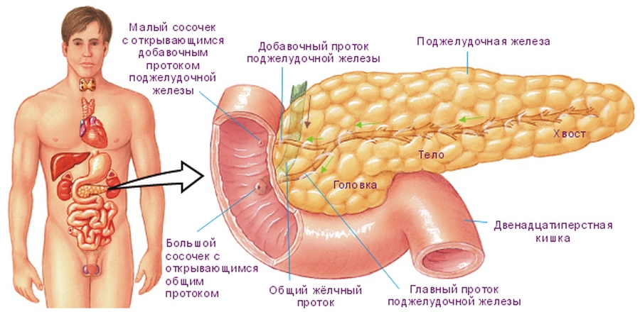 паллиативное лечение2