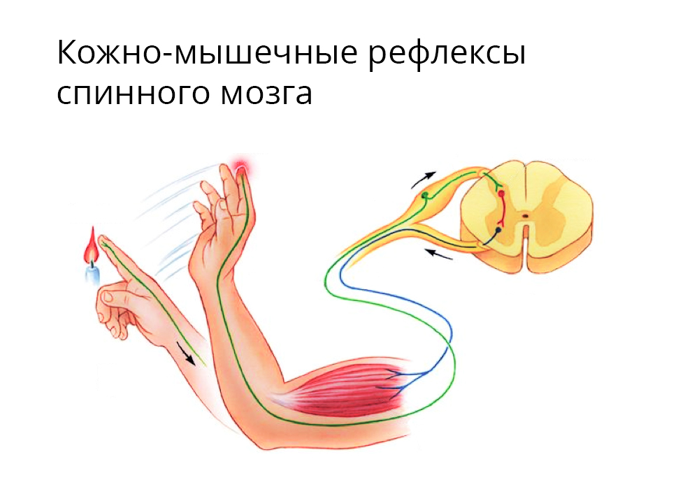 обезболивание