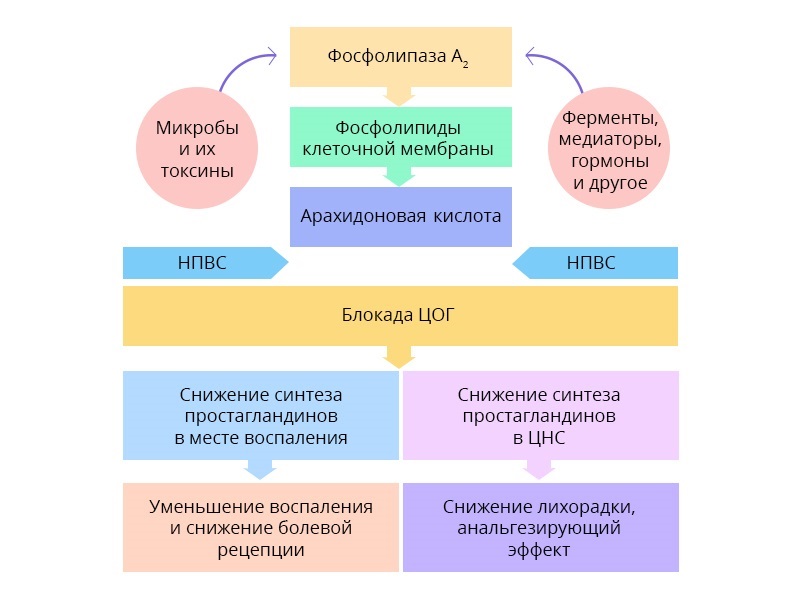 обезболивание хабр6