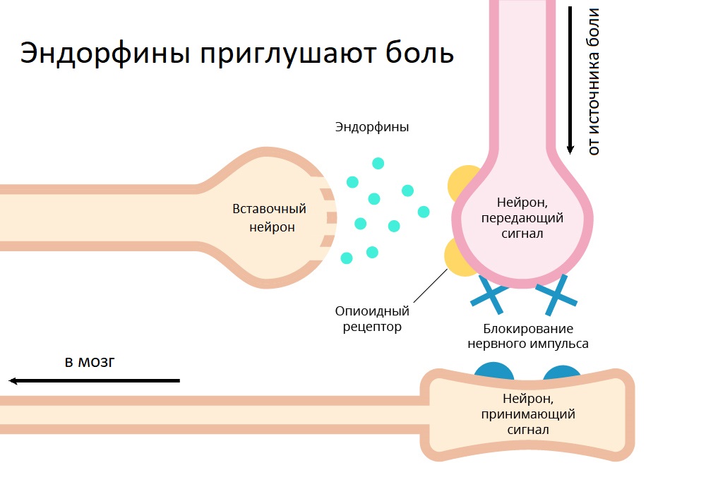 обезболивание хабр7