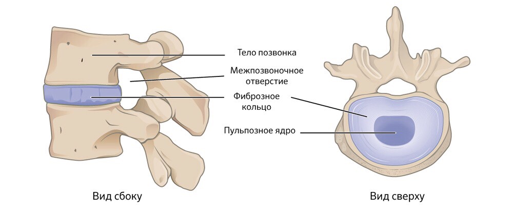 хабр6